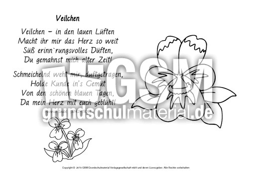 Veilchen-Seidel-ausmalen.pdf